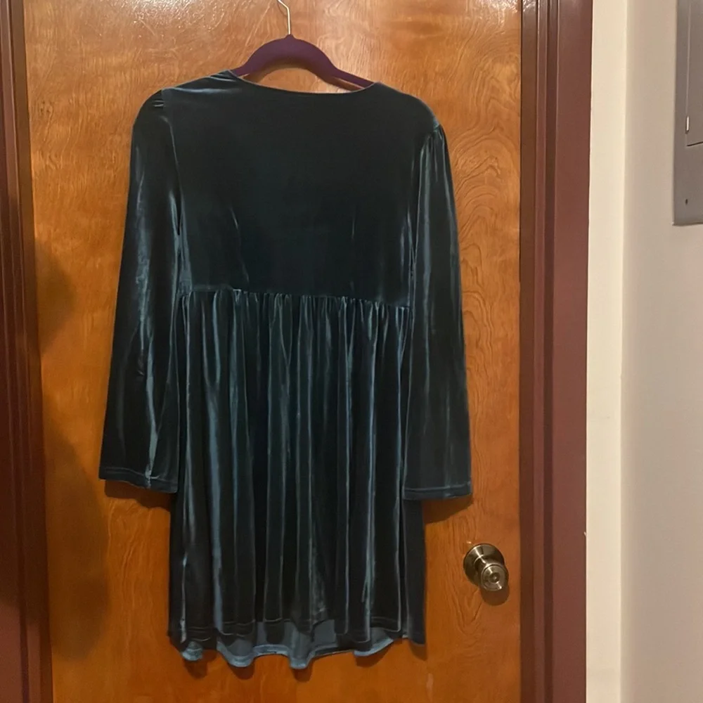 ModCloth Velvet Dress - Picture 5 of 5